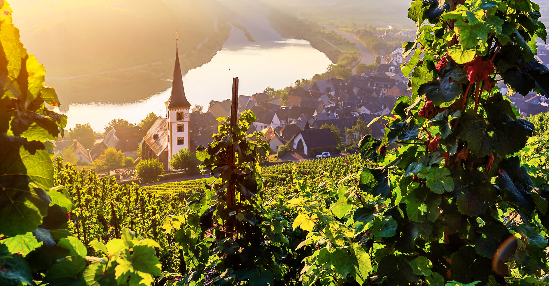 Bild einer Stadt in Rheinland-Pfalz